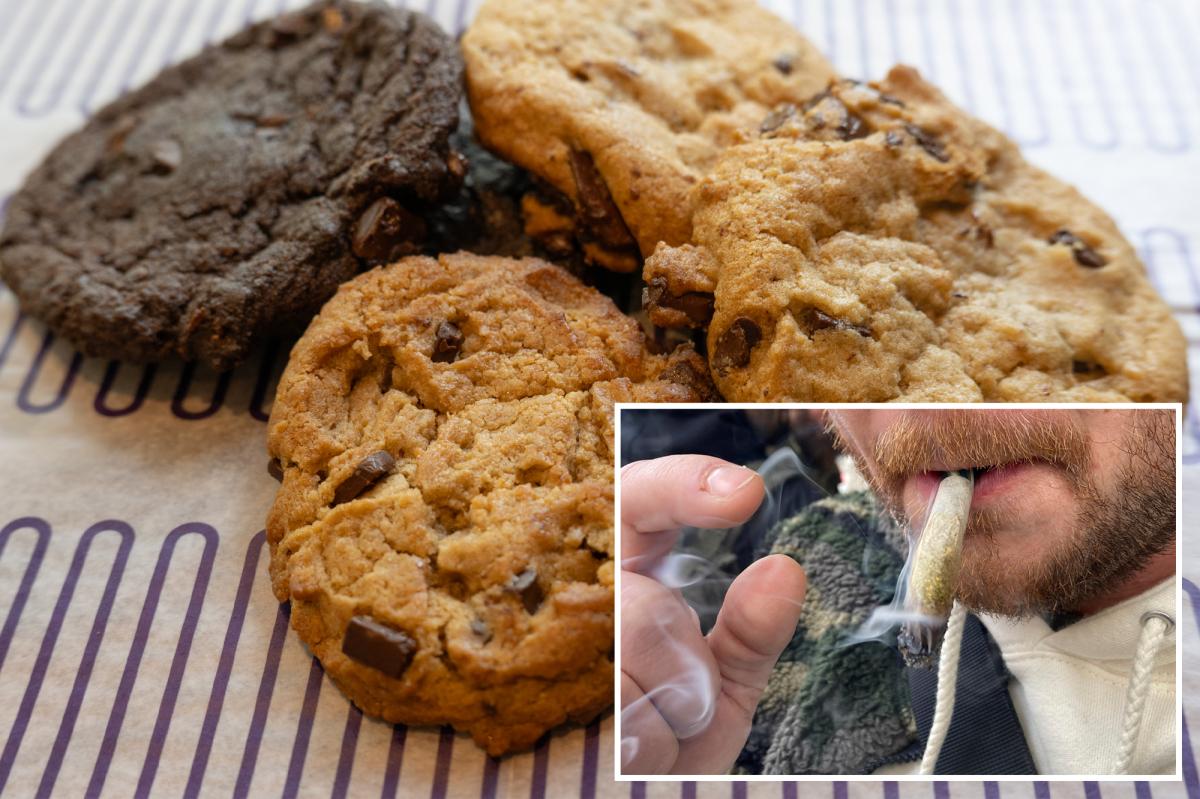 webnexttech | More than two dozen artisan cookie shops pop up across NYC since pot was legalized in 2021