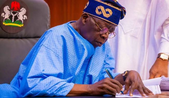 webnexttech | FULL LIST: Tinubu appoints governing council chairmen, members for federal varsities, others