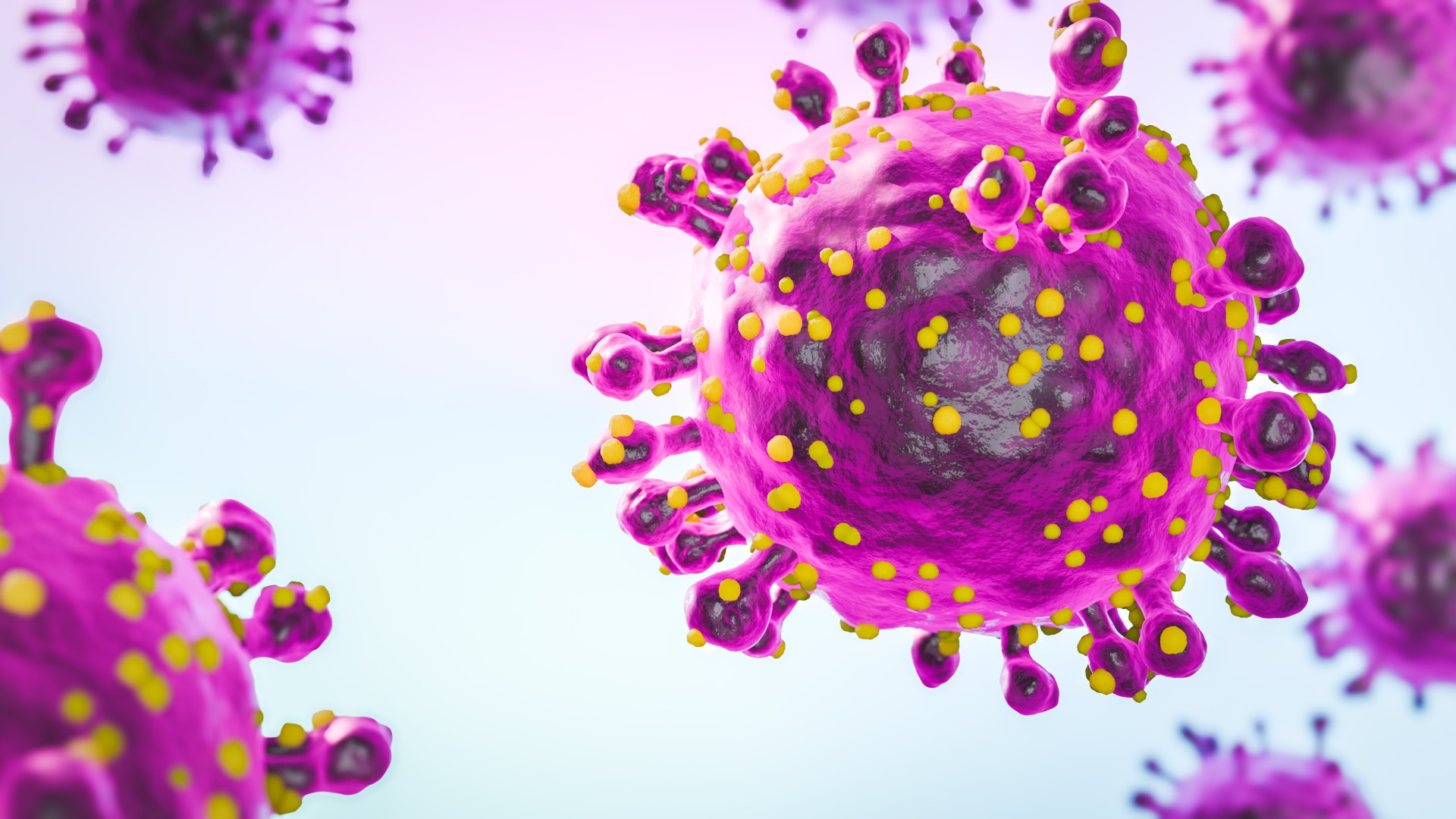 webnexttech | What to know about Oropouche virus — the deadly fever that has reached the U.S.