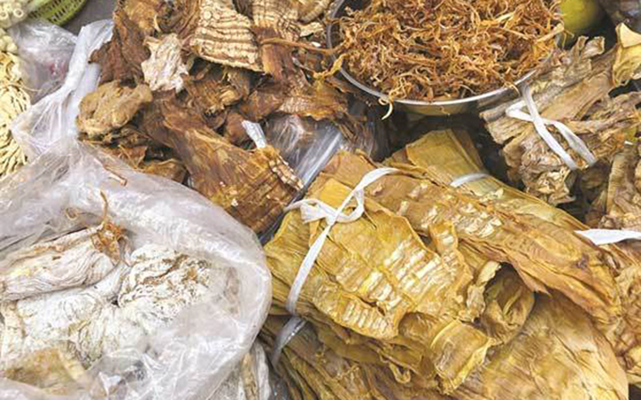 webnexttech | Producing dried bamboo shoots with international technology underway