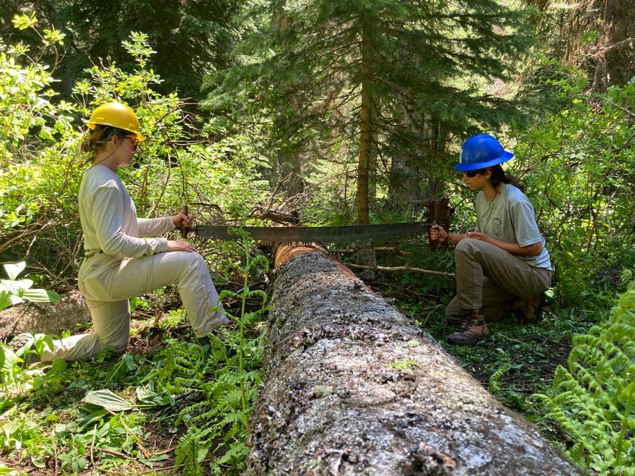 webnexttech | In its first year, program teaches Idaho, Montana youth how to backpack, clear trails