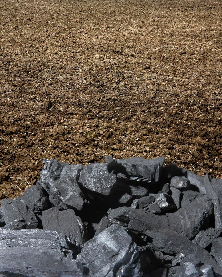 webnexttech | How This Company Uses Biochar To Reverse Soil Degradation