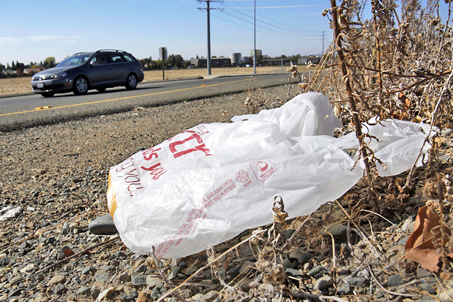 webnexttech | California expands ban on plastic grocery bags