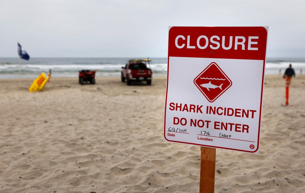 webnexttech | California shark attack rescuers earn medal for heroism