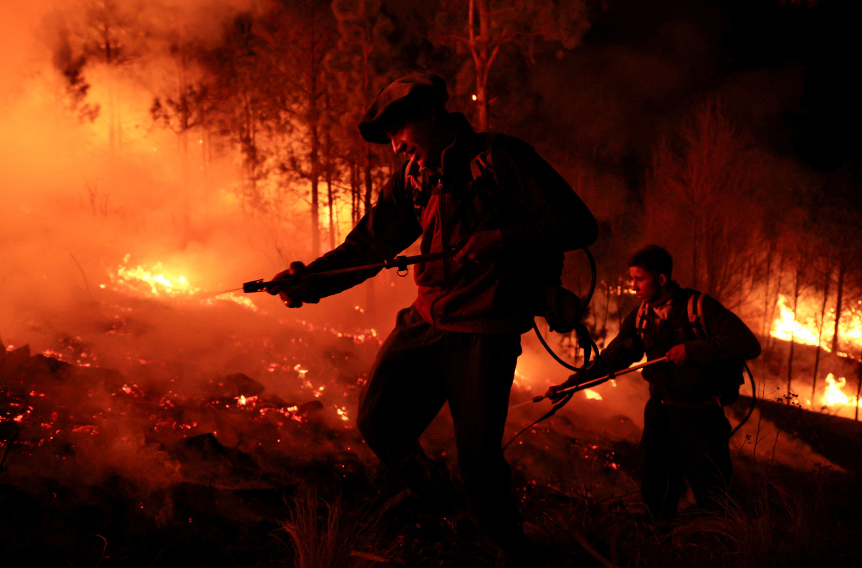 webnexttech | Cattle burn as wildfires rage in Argentina ranchlands