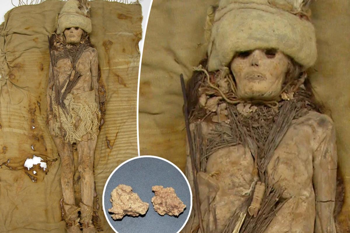 webnexttech | DNA from world’s oldest cheese extracted from an unusual source — mummies