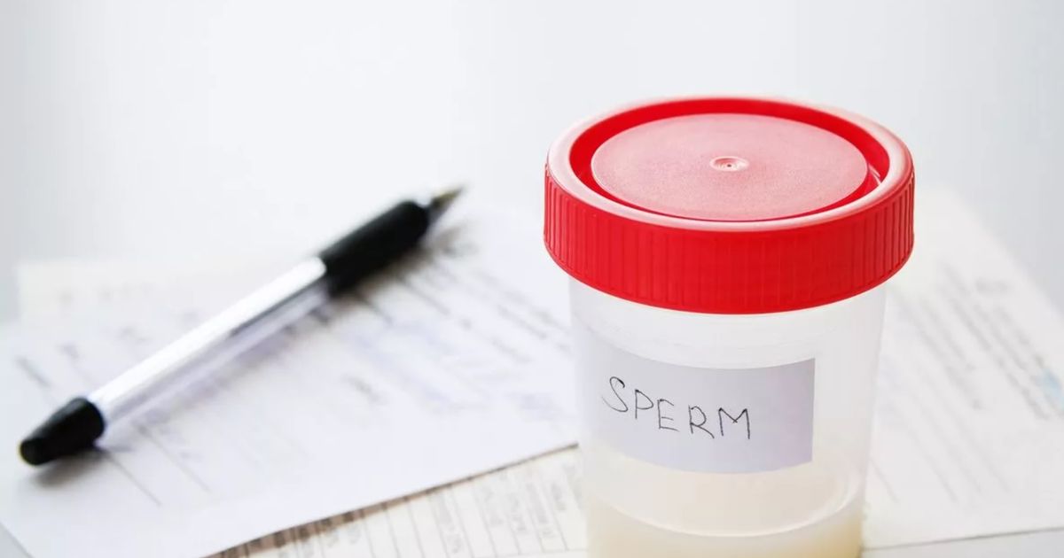 webnexttech | Sperm and egg donor compensation rises to £45 per visit due to UK shortage