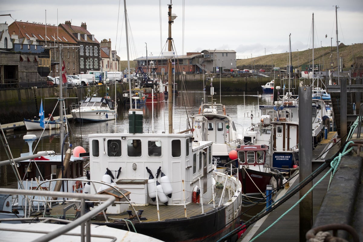 webnexttech | Scottish Government ‘floundering’ on fisheries plans, marine charity says