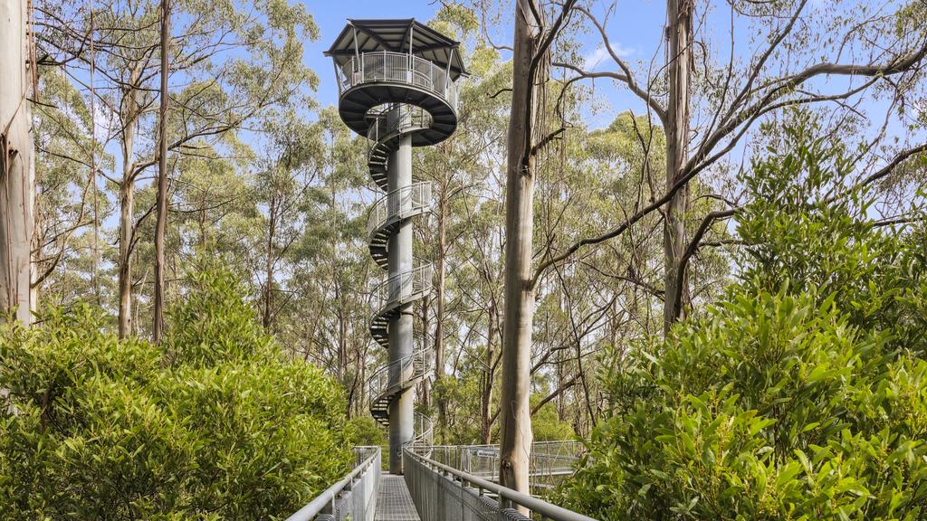 webnexttech | Otway Fly Ecotourism Site Listed For Sale As Focus Shifts To City Attractions