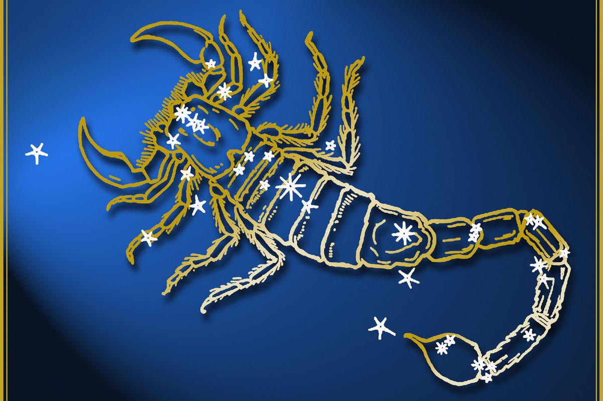 webnexttech | Scorpio season 2024: Everything you need to know about this zodiac sign