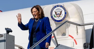 webnexttech | Kamala repeats the line, says Trump 'suggested rifles should be trained on' Liz Cheney, calling her a 'true patriot'