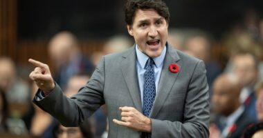 webnexttech | LILLEY: Trudeau political games with Trump could hurt Canada