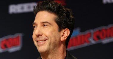 webnexttech | David Schwimmer makes very rare public appearance year after Matthew Perry's death