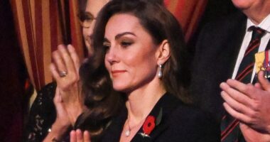 webnexttech | The special meaning behind Kate Middleton’s Festival of Remembrance outfit