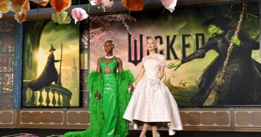 webnexttech | What is this website? Mattel responds after ‘Wicked’ toys mistakenly link to porn.