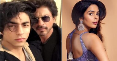 webnexttech | THROWBACK: When Shah Rukh Khan gave epic response to his son Aryan Khan developing crush on Mallika Sherawat; ‘Can I also play…’