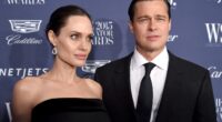 webnexttech | Brad Pitt, Angelina Jolie winery dispute heading to trial