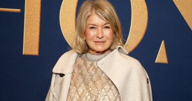 webnexttech | Martha Stewart: A cookbook icon who stays true to herself after 100 titles