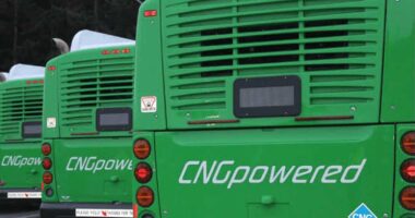 webnexttech | Why CNG engines are suitable to save cost